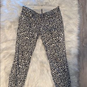 Ann Taylor pants
